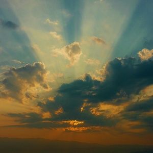 Meet your Posher, Rosa